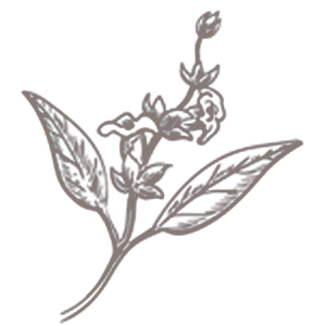 Choose Yourself This February