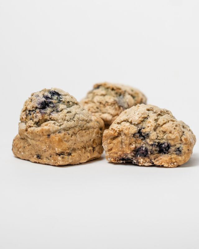 Freshly Baked Vegan Blueberry Gluten-Free Scones (1/2 dozen)