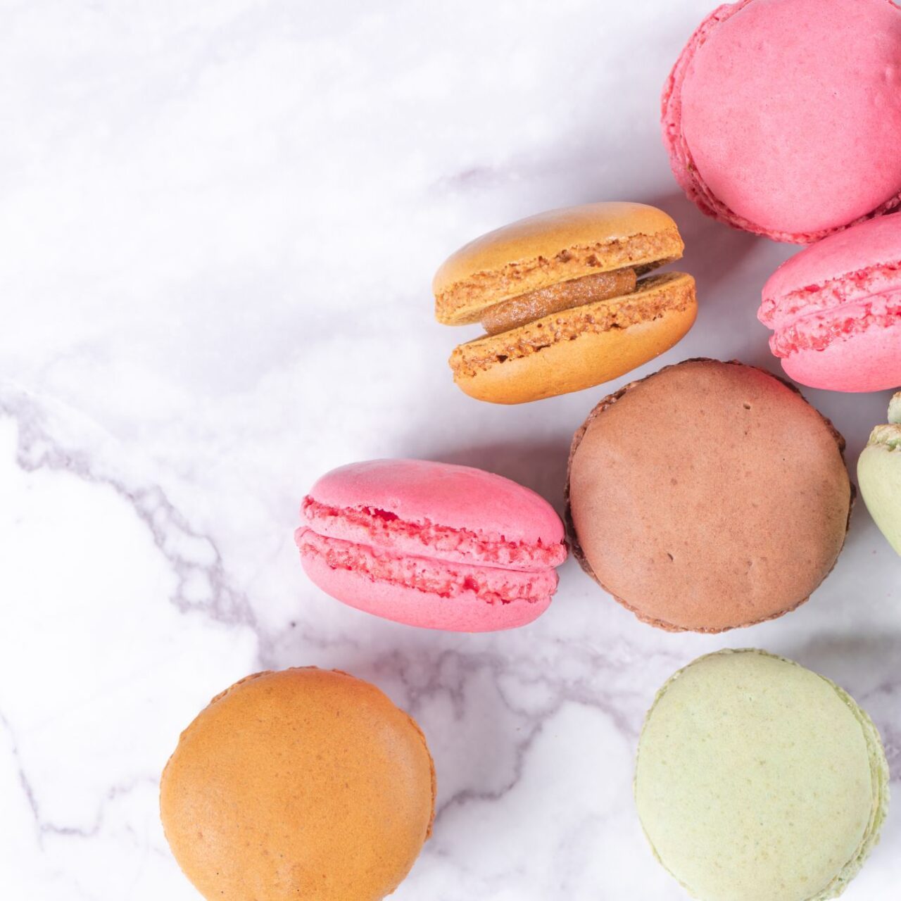  Macaron Mania