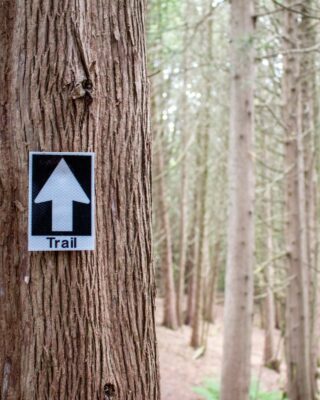 Guided Hike