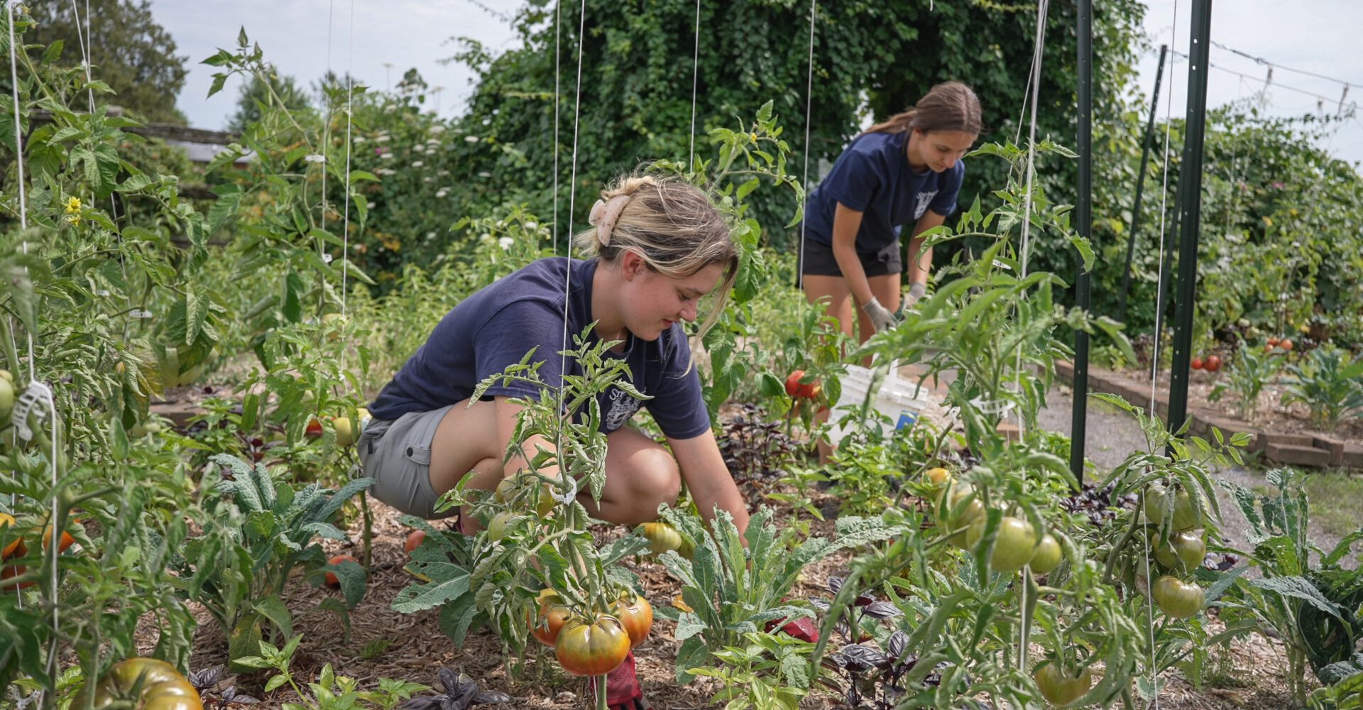 C1028.MP4.05_39_17_023.Still001