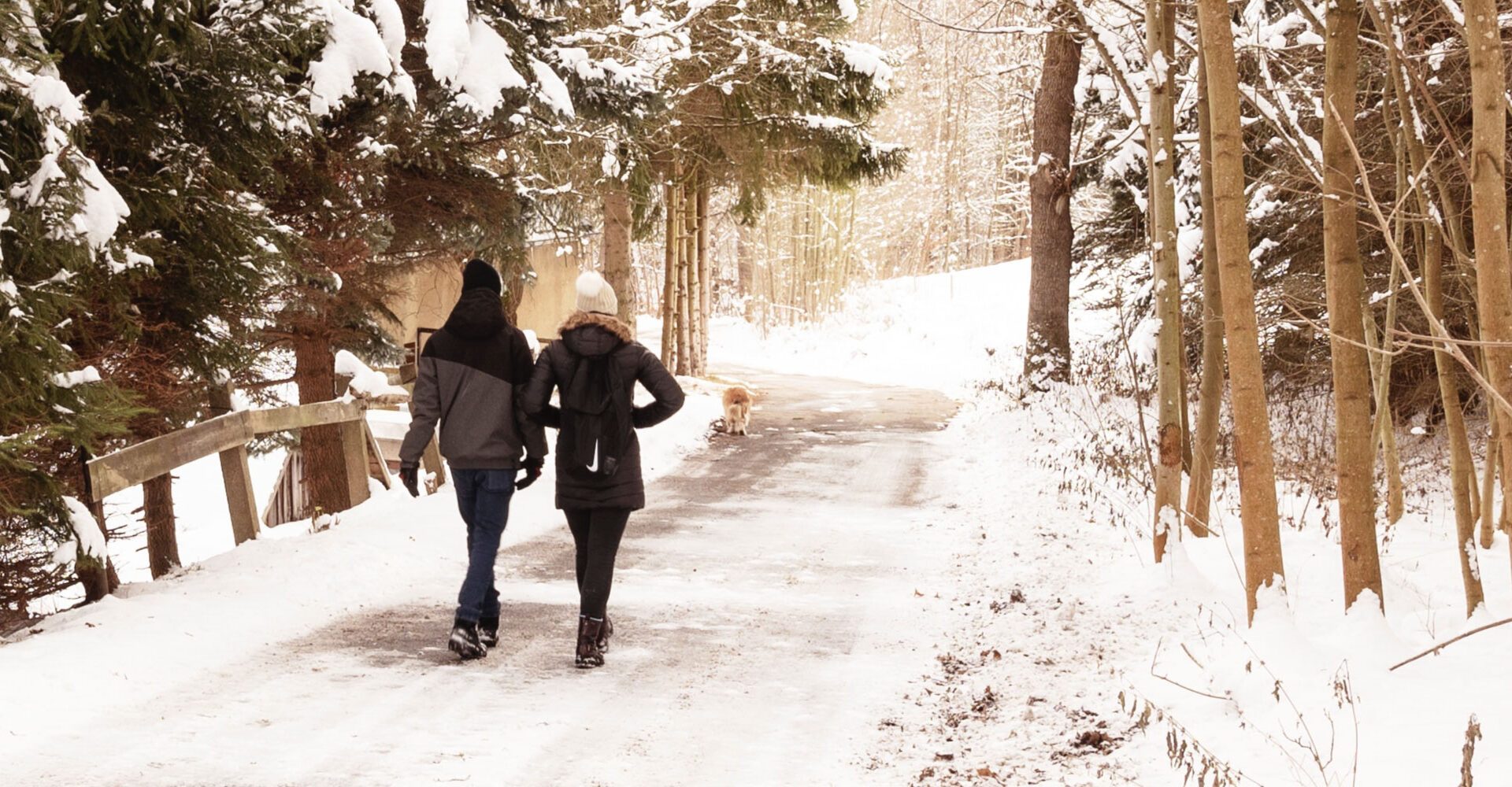 Finding Calm In The Holiday Storm