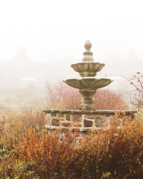 Private: Pumpkin Spice Day Spa