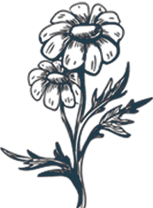 icon-flowers-navy