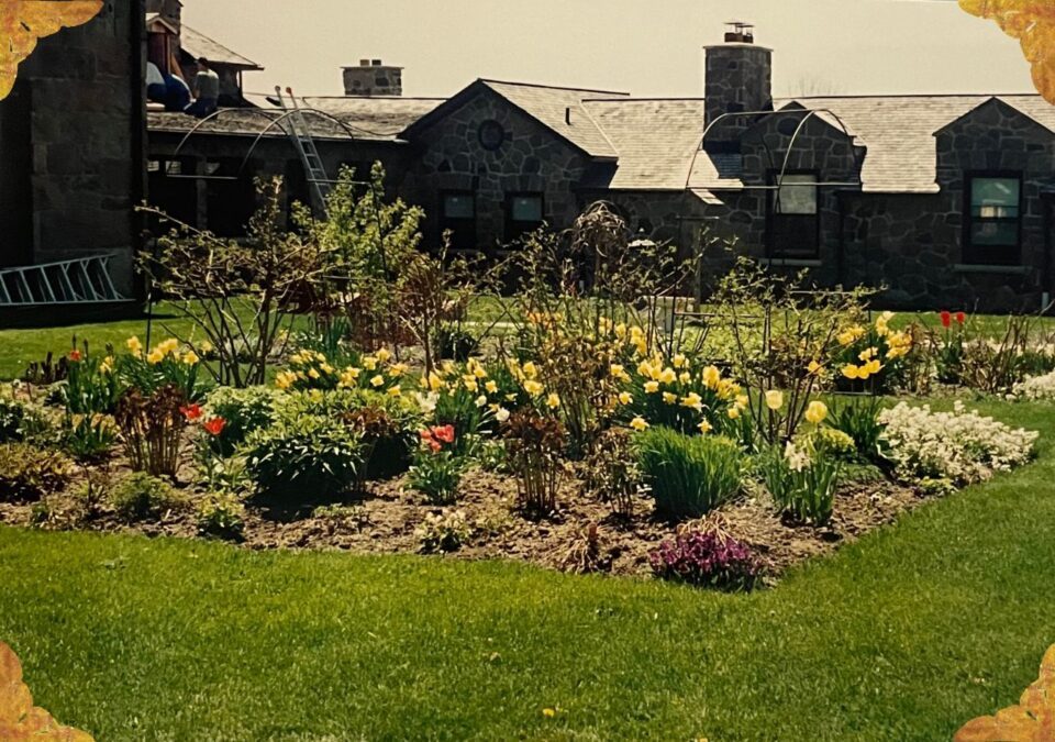 Renovations and Spaces Unearthed