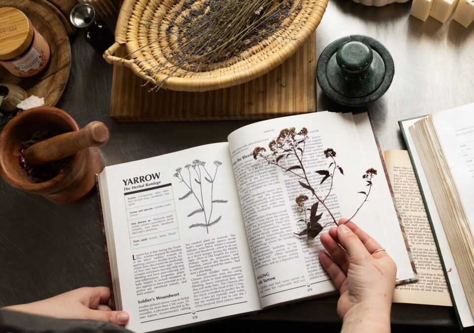 Legacy of Love: The Story of Ste. Anne's Apothecary