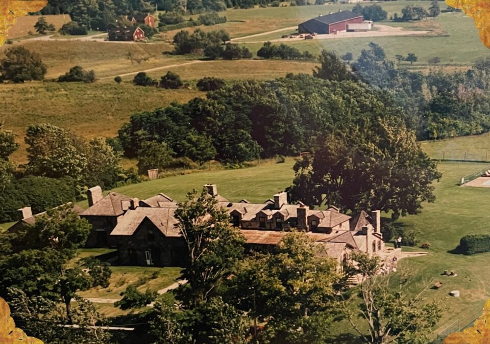 Jim's Expansion and Innovations