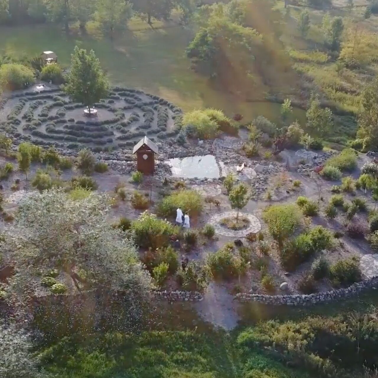 Tranquillity Garden & Lavender Labyrinth