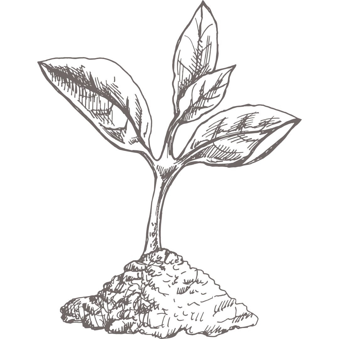 Women’s Healing Hypnosis Retreat