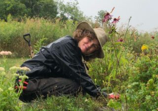 Be Inspired By Our Gardens