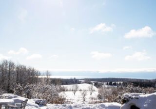 Getting Through Winter