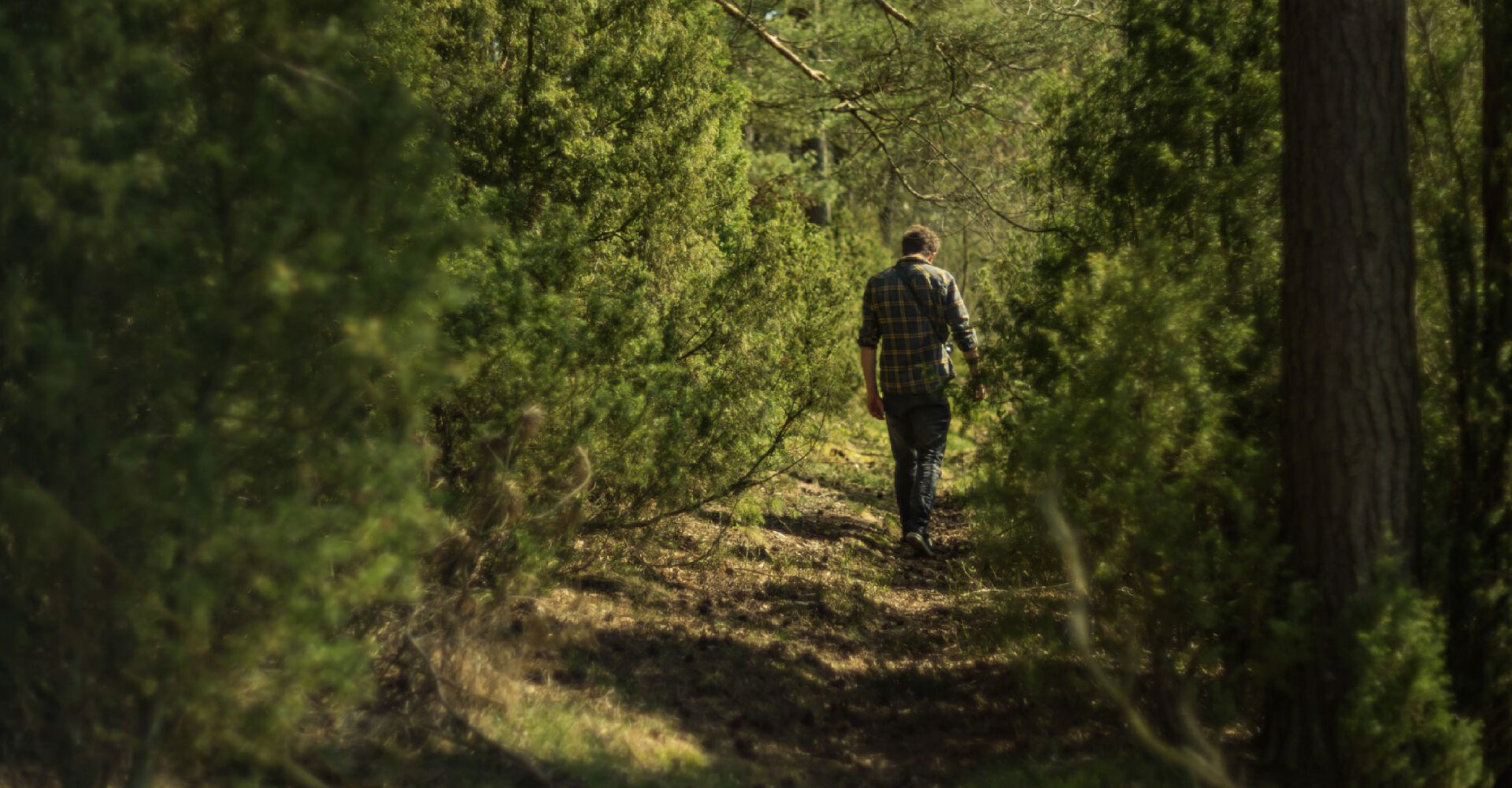 Turn Up The Intensity