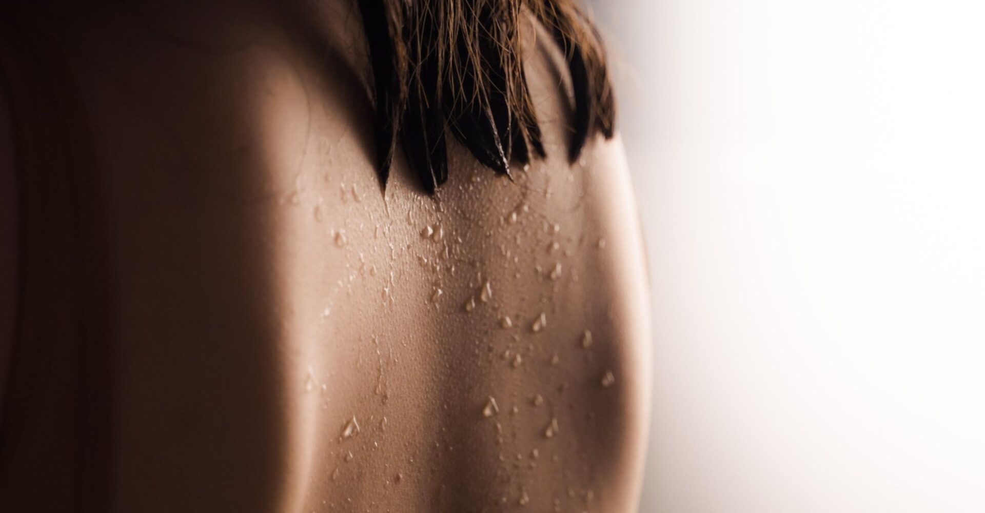 Website Wide Image (15)