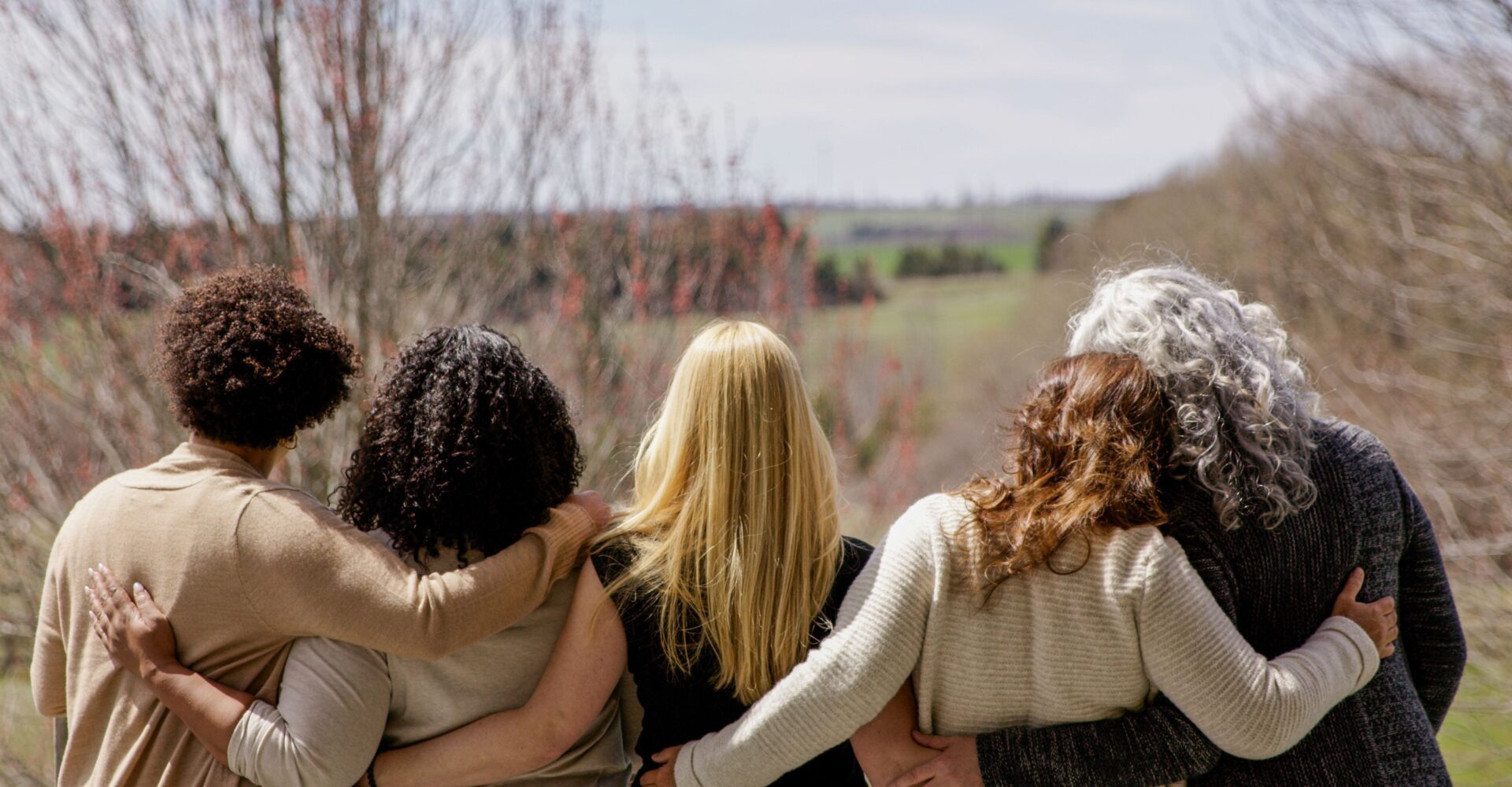 Website Wide Image (3)