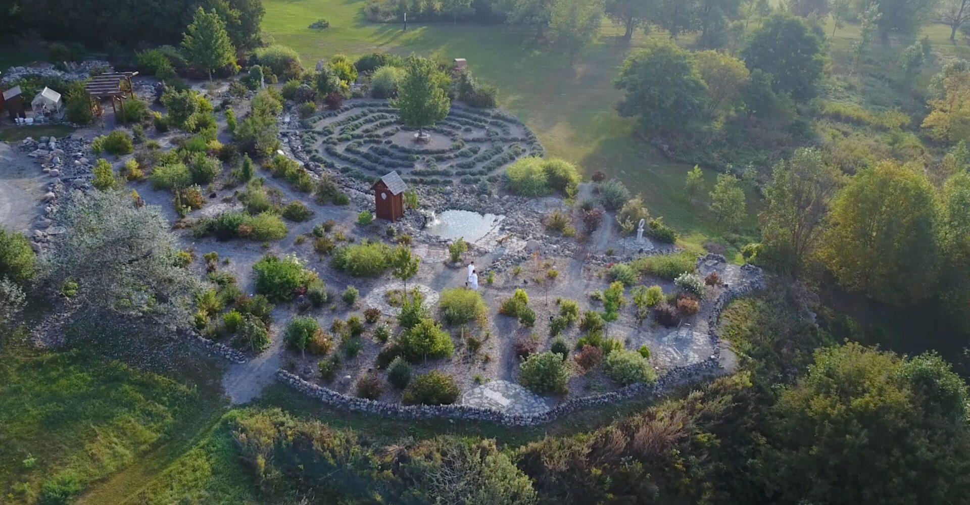 Raspberry Rose Mocktail