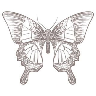 Practice Holistic Skincare With Ste. Anne’s Skin Nourishment