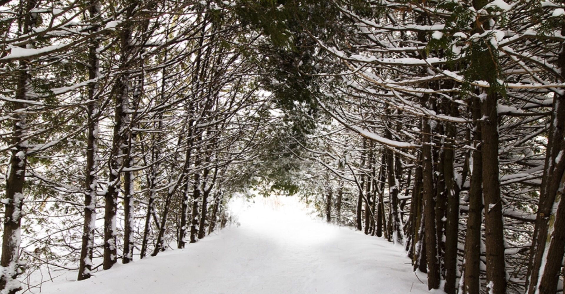 Getting Active Outdoors May Make You Happier