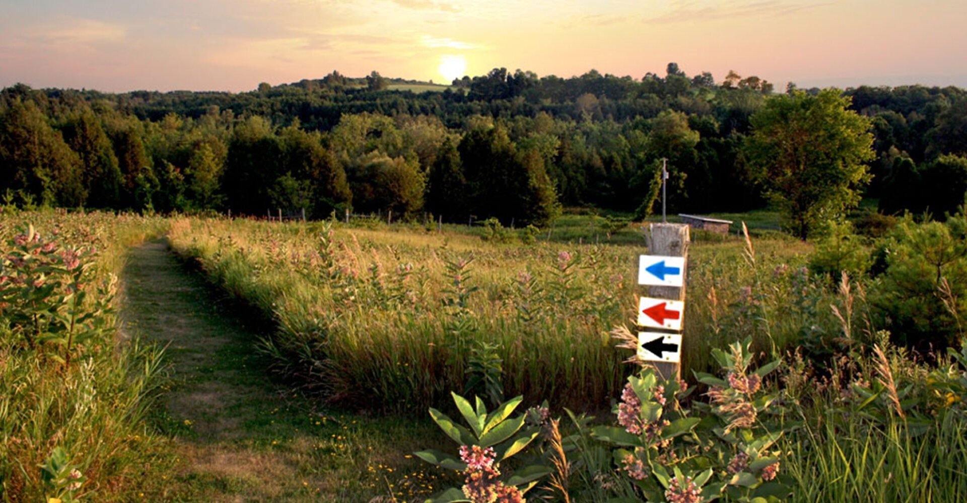 Keeping Active With Ste. Anne’s