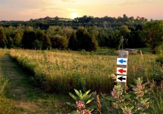 Keeping Active With Ste. Anne’s