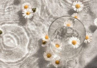 Navigating The Summer Heat