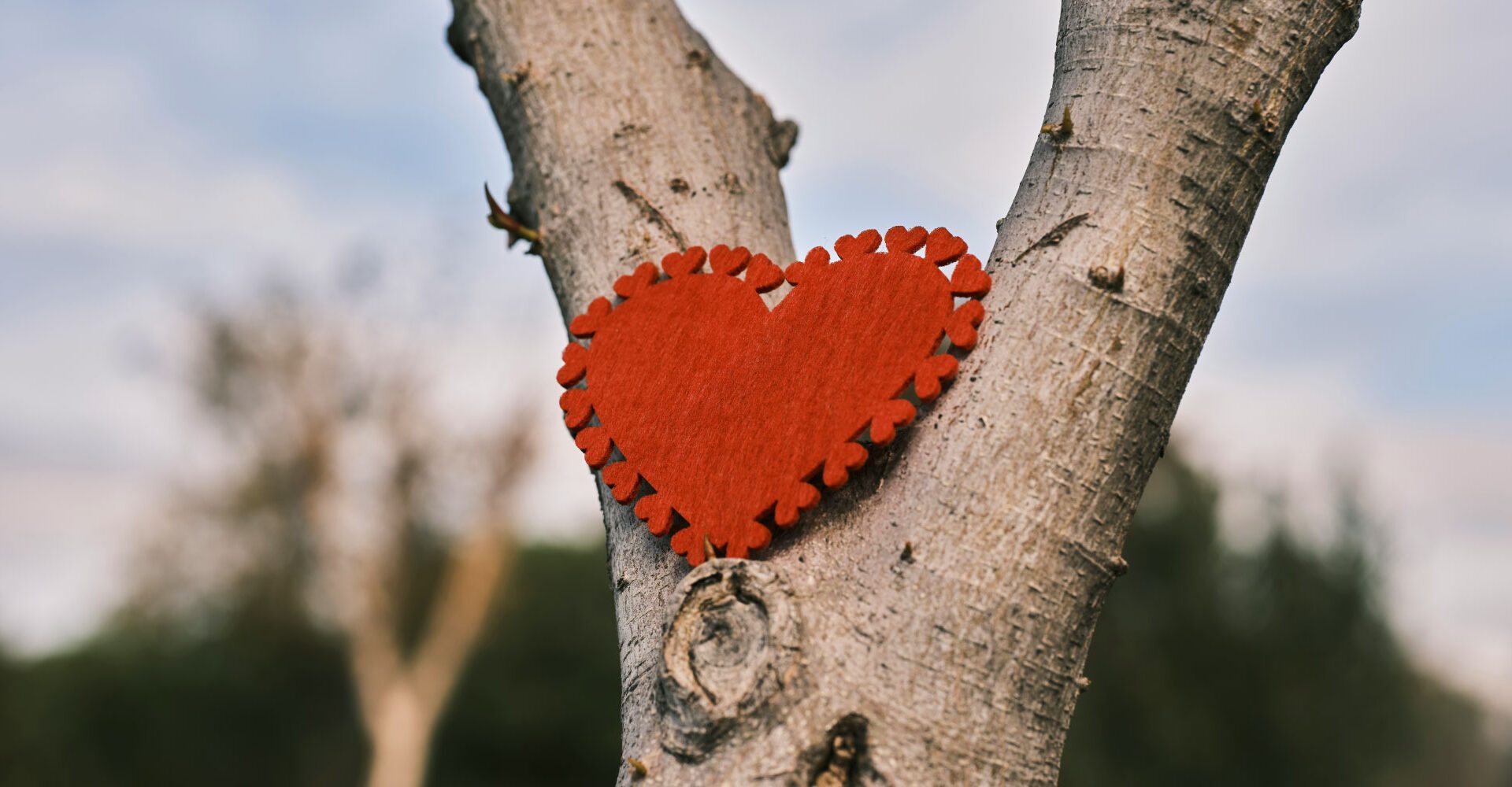 Romance Is In The Air!