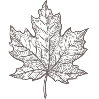 maple_leaf_icon