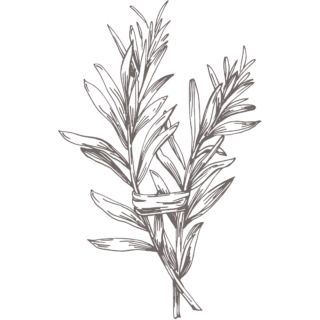 rosemary_icon