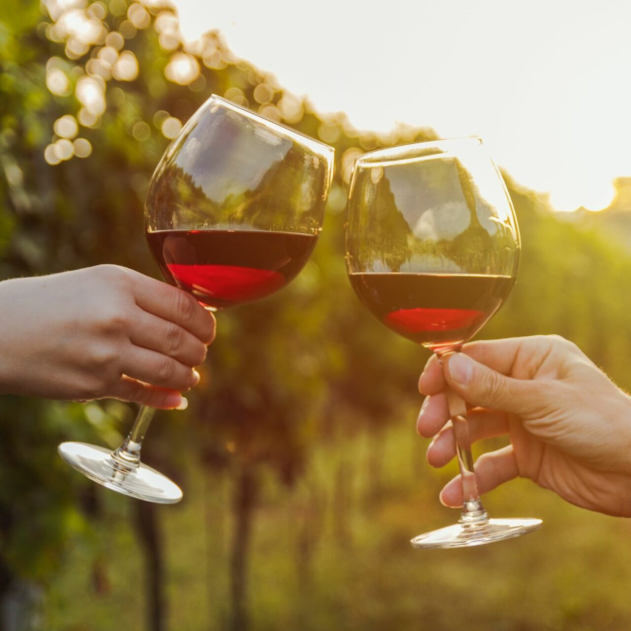 Explore Local Wineries