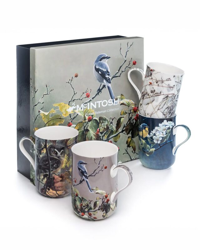 McIntosh: Bateman Birds Set of 4 Mugs