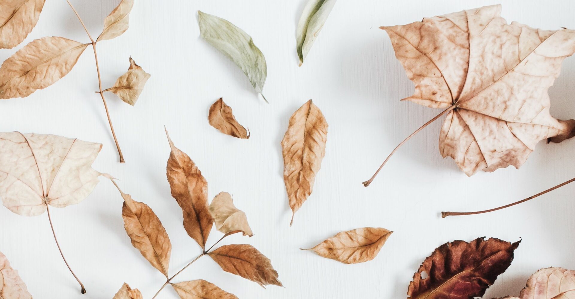 horizontal_slider_canada