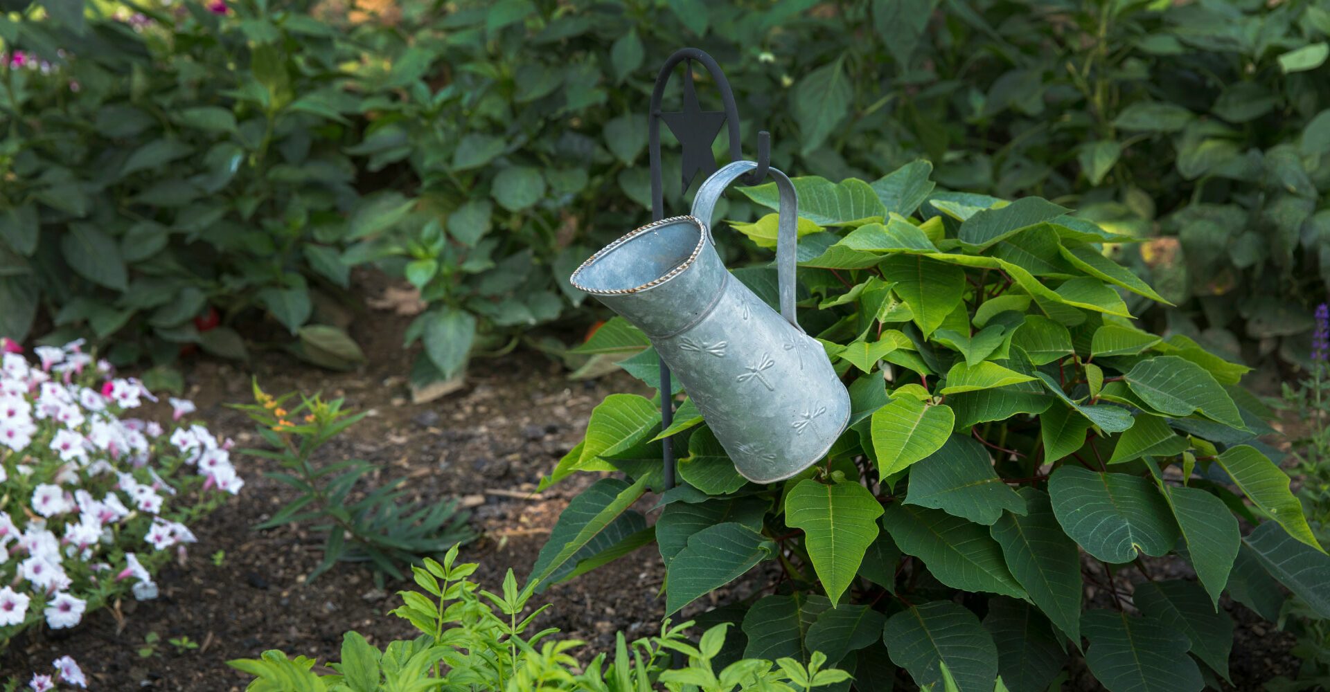 Grow Your Own Wellness