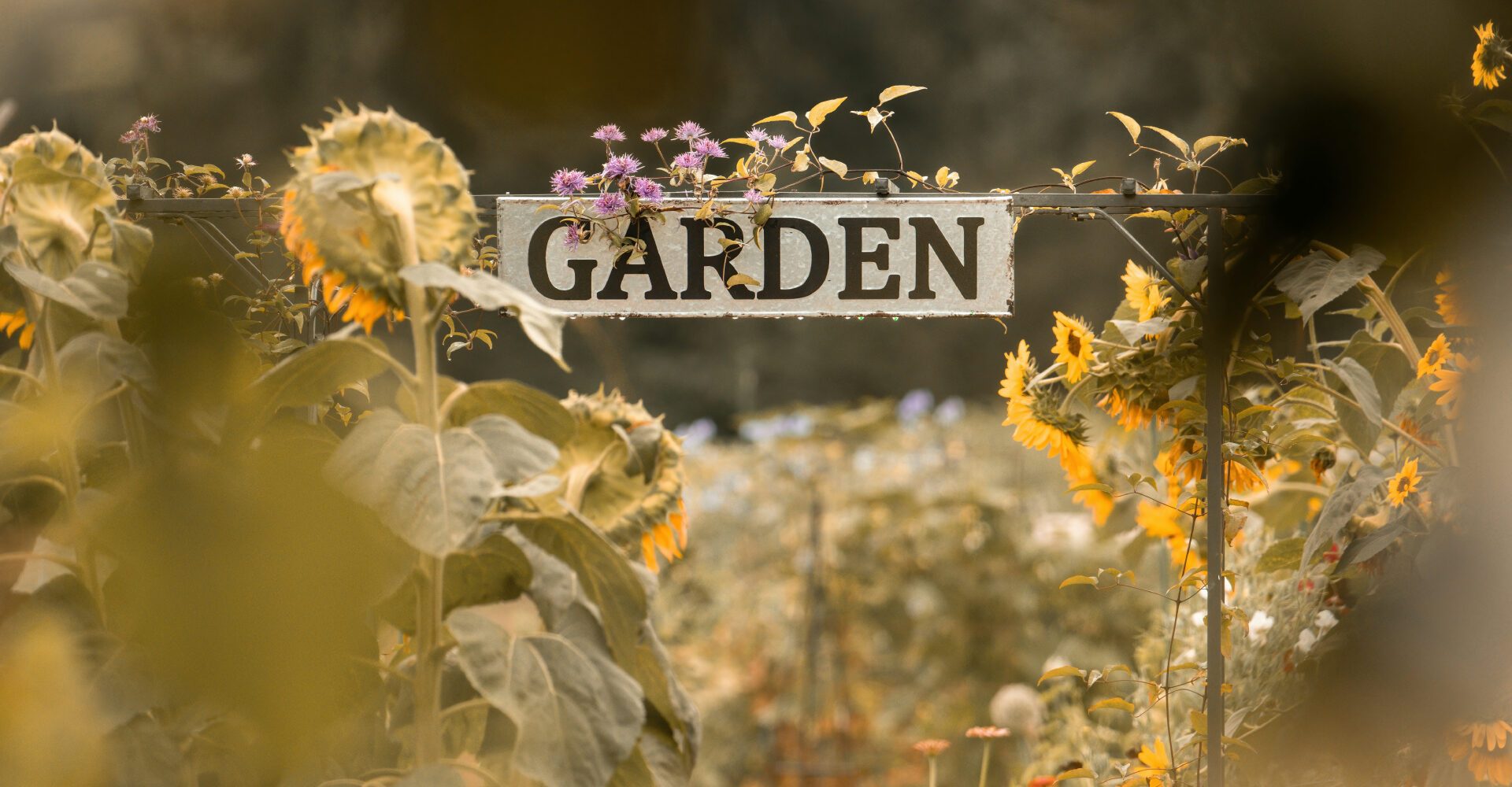 The Therapeutic Benefits of Gardening