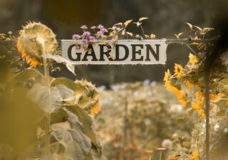 The Therapeutic Benefits of Gardening