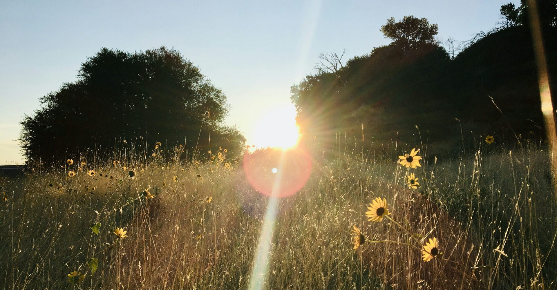 Sunrise to Sunset: A Solstice Self-Care Guide