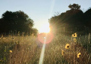 Sunrise to Sunset: A Solstice Self-Care Guide