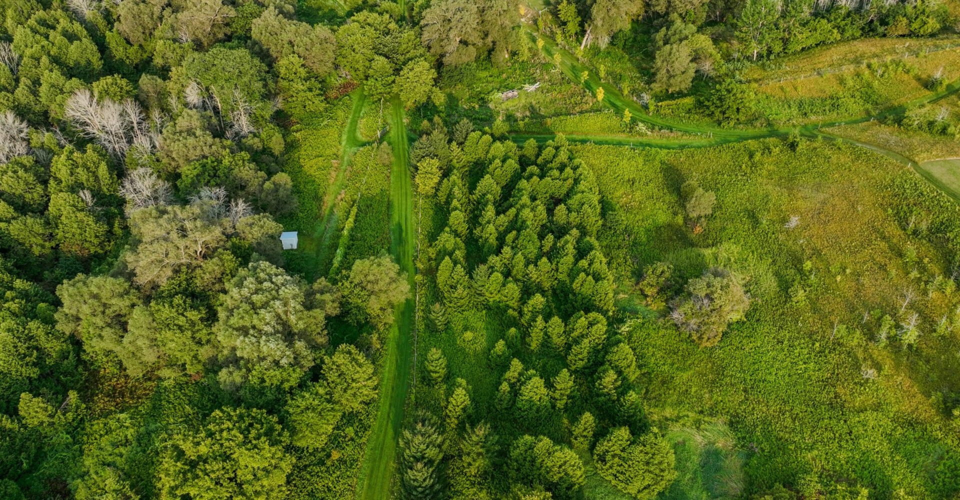 NEW-HeroImage_DiscoverNorthumberland