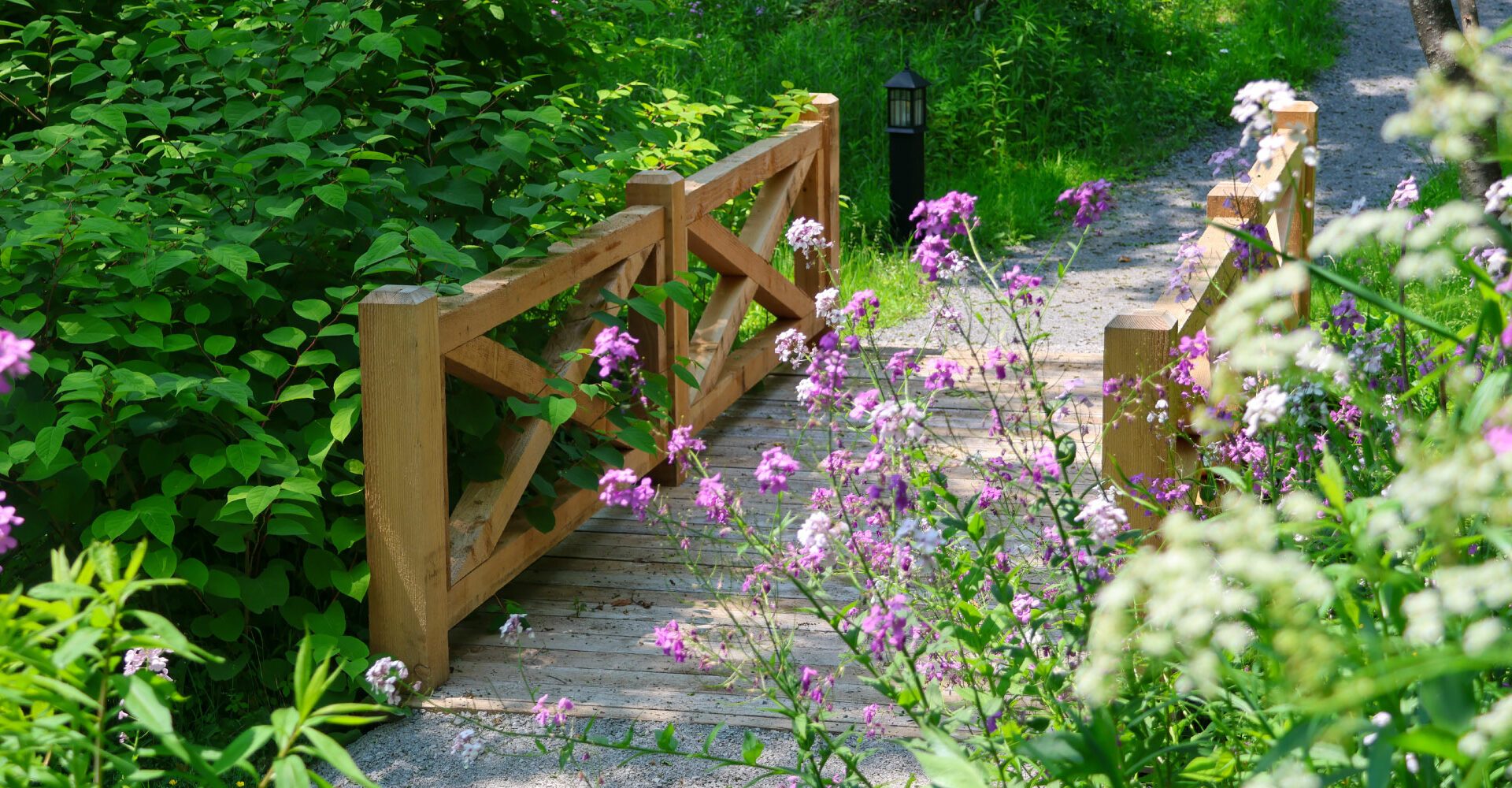 Petit Pont Guest House