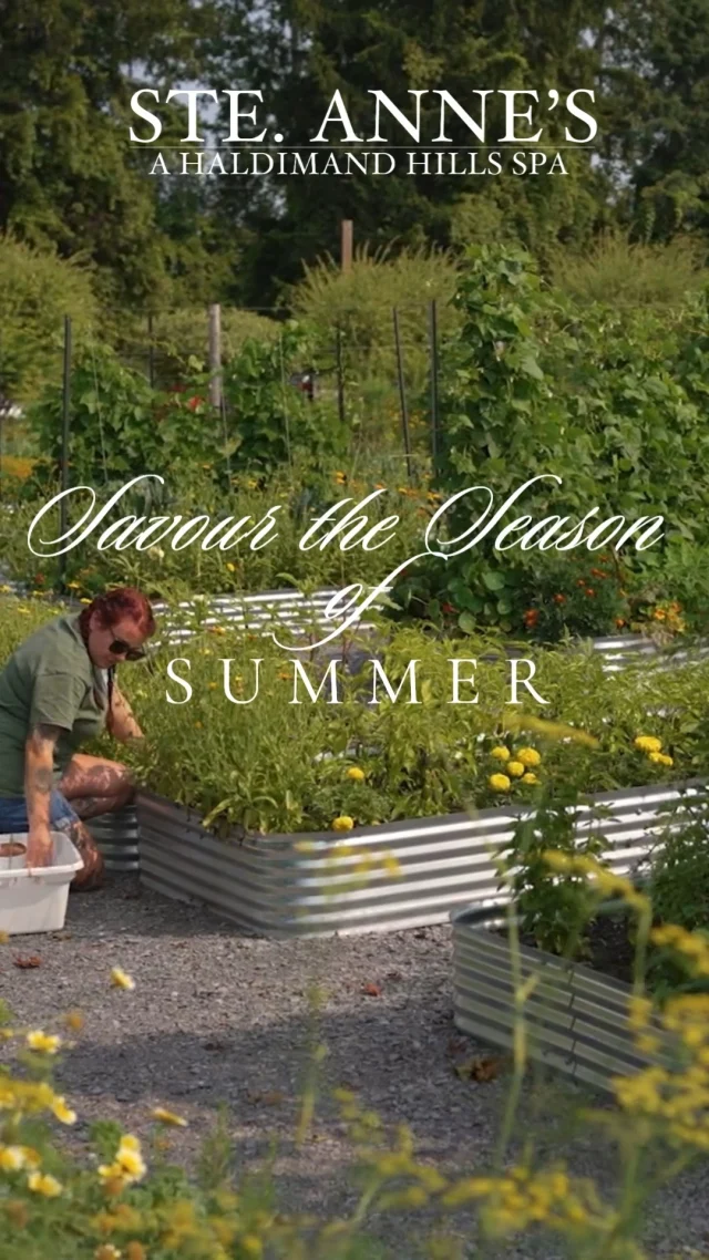 Long days. Slow moments.Hydrotherapy pools. Garden paths. Seasonal dishes inspired by the harvest around us.A reminder that the best parts of summer aren't rushed.They're savoured.